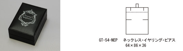 GT-54-NEP